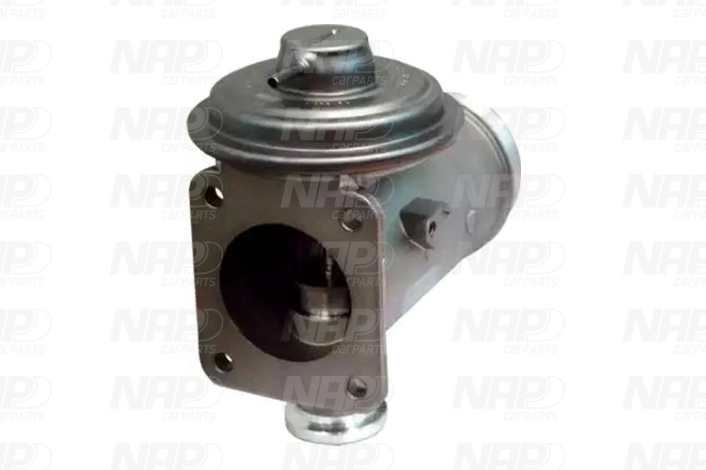 EGR Valve (CAV10131)