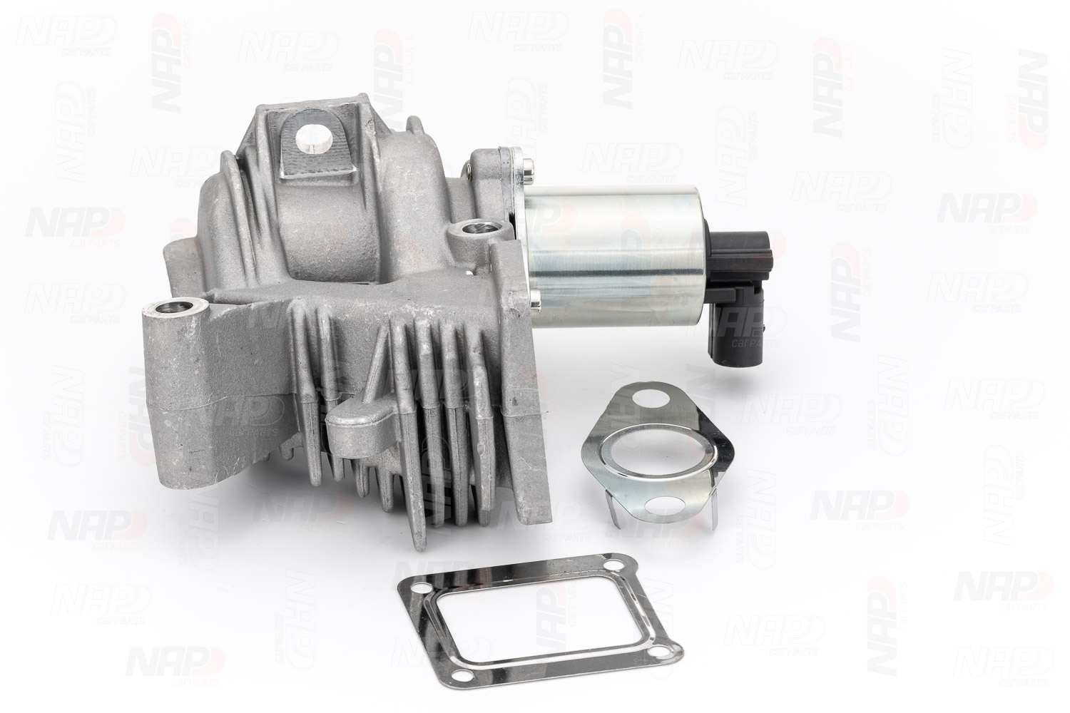 EGR Valve (CAV10056)