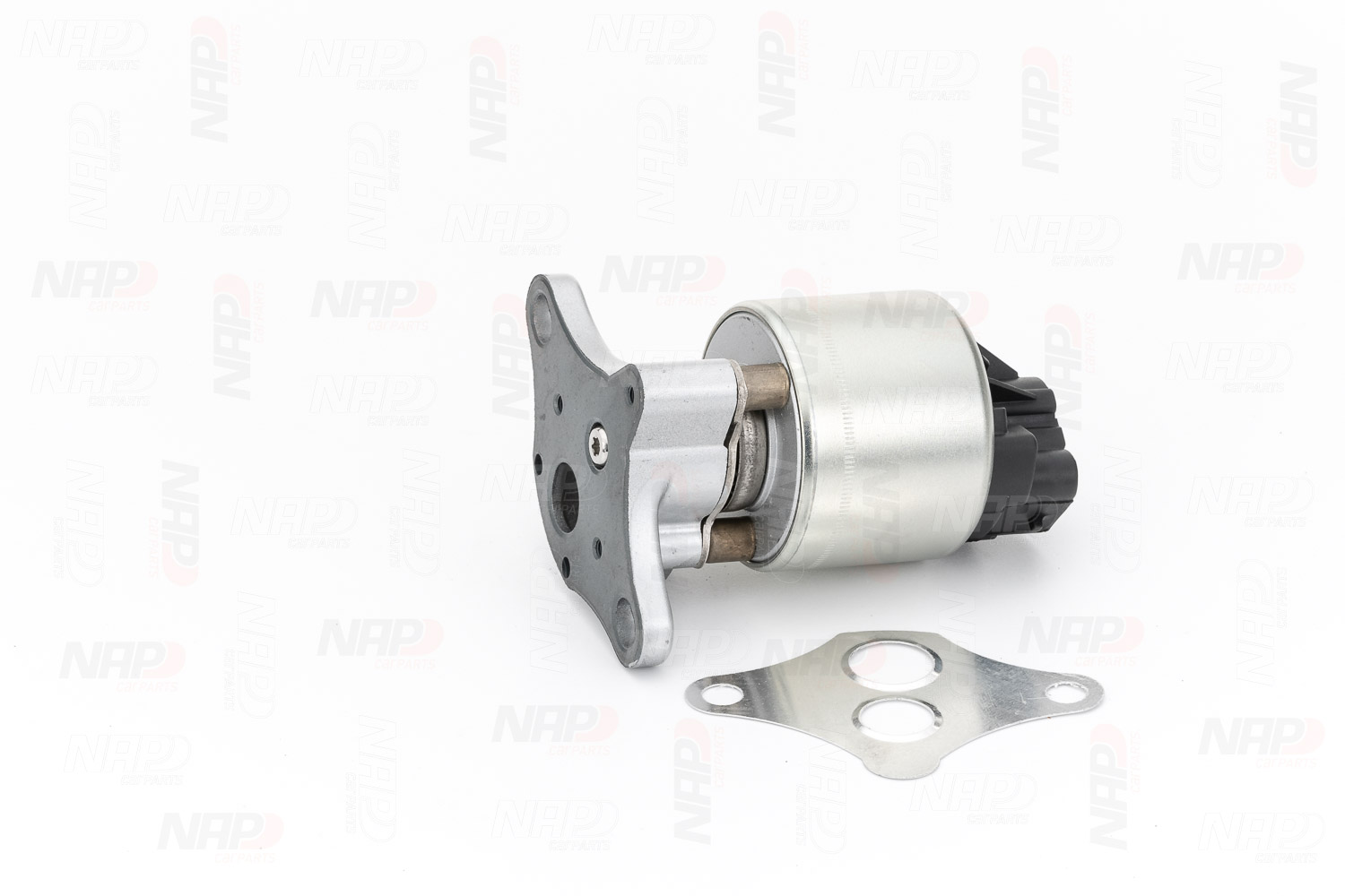 EGR Valve (CAV10001)