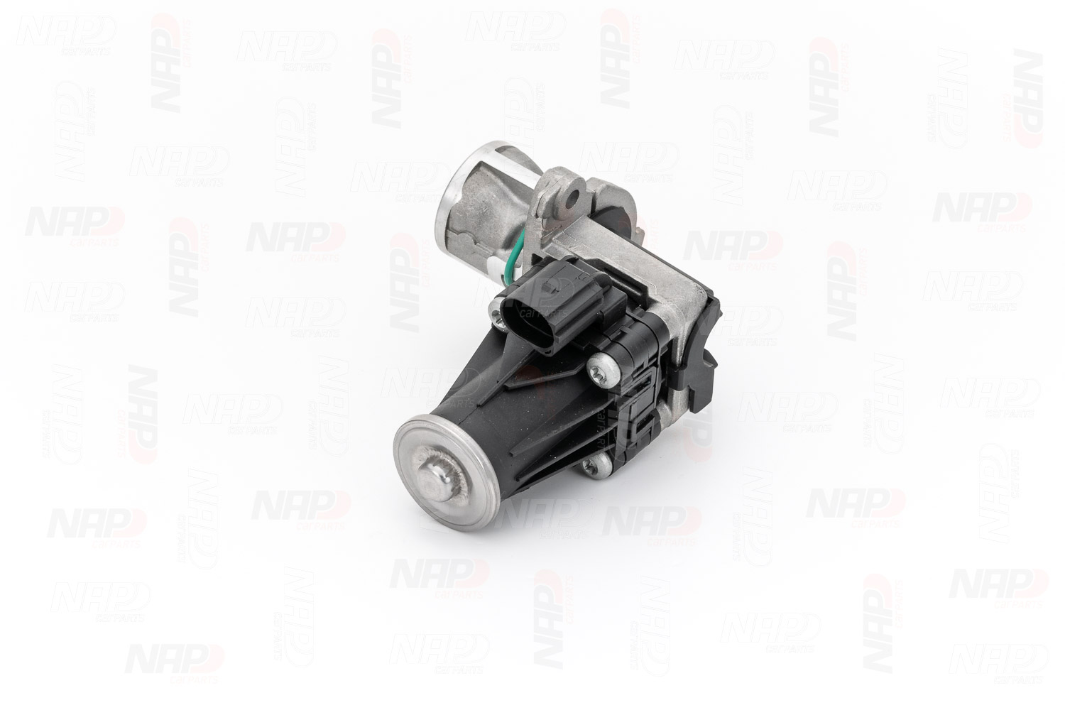 EGR Valve (CAV10100)