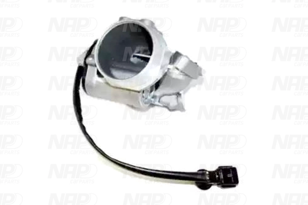 EGR Valve (CAV10027)