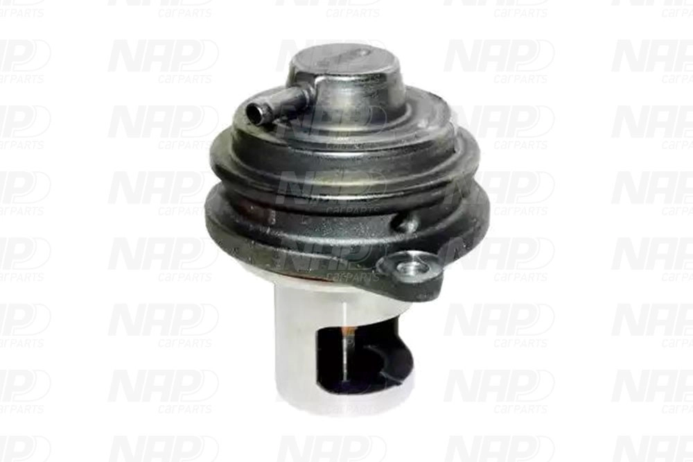 EGR Valve (CAV10147)