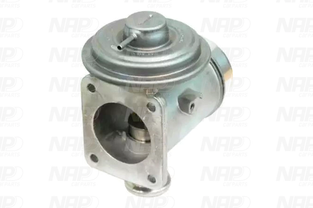 EGR Valve (CAV10132)