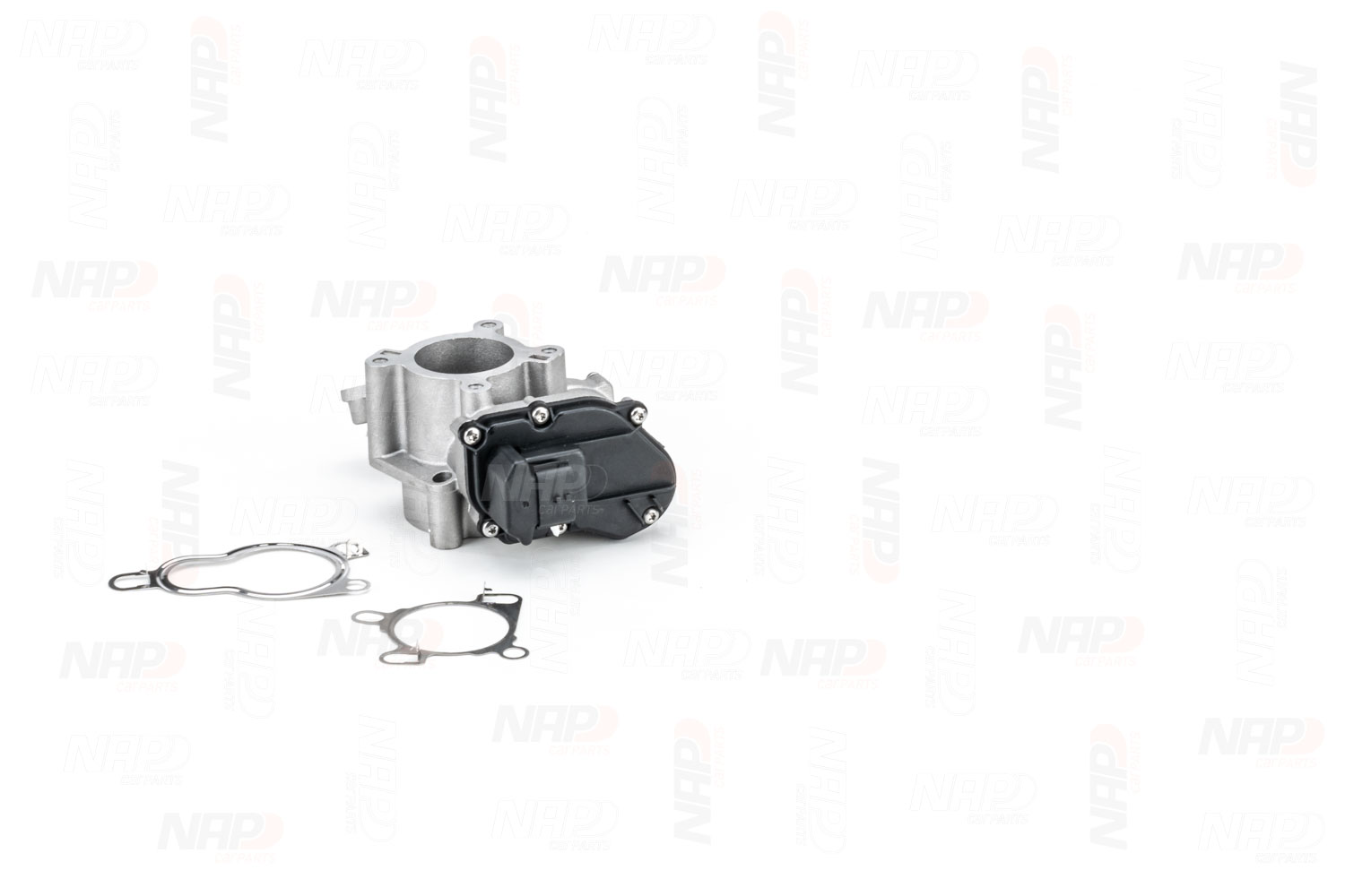 EGR Valve (CAV10153)