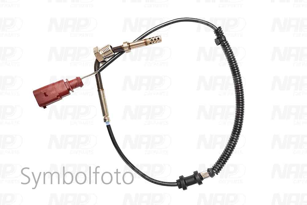 Sensor, exhaust gas temperature (CTS10100)
