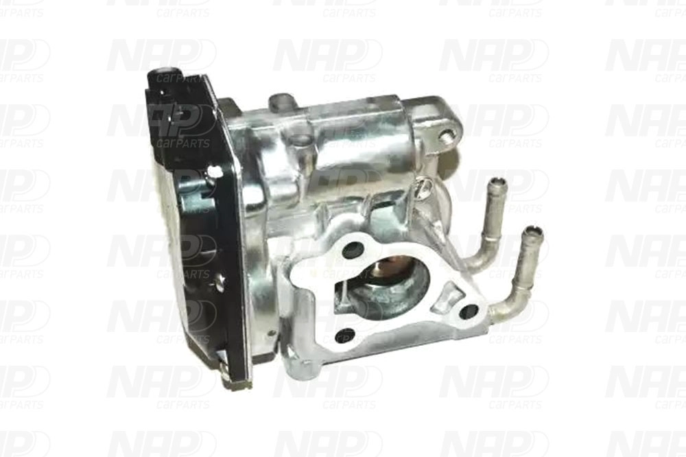 EGR Valve (CAV10121)