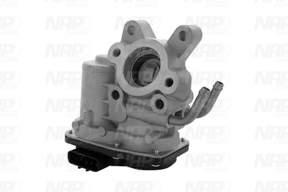 EGR Valve (CAV10079)