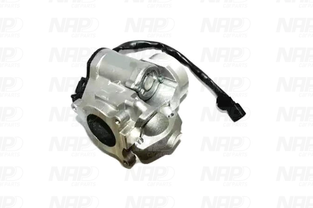 EGR Valve (CAV10141)
