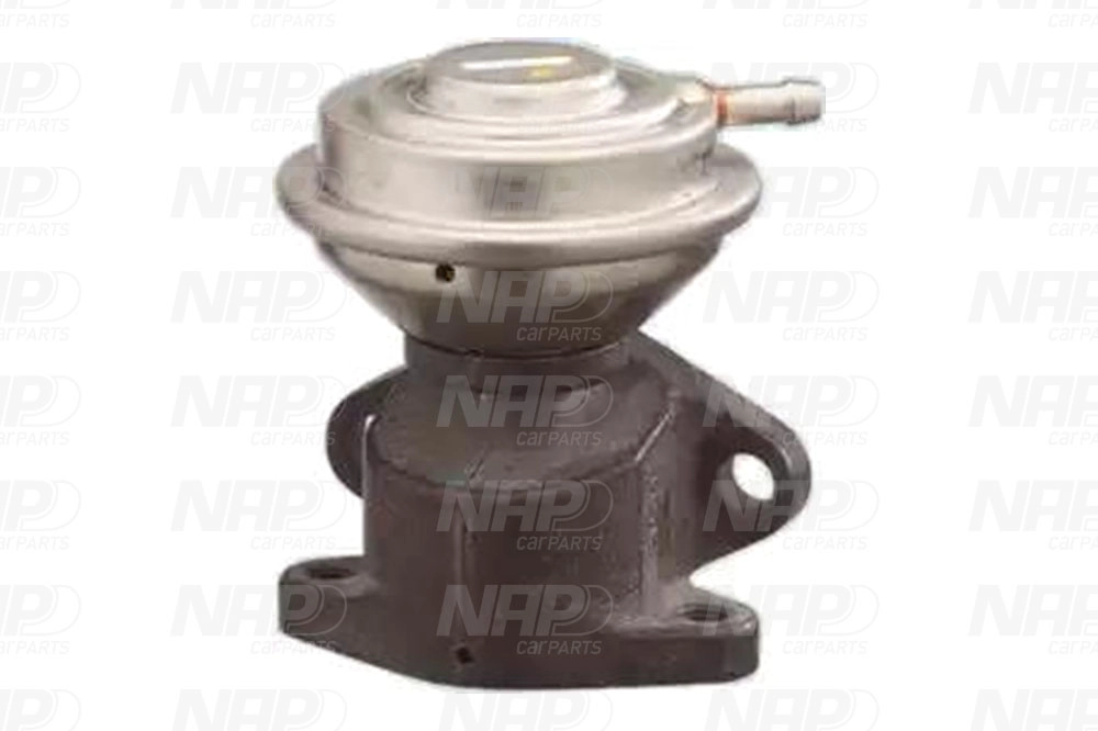 EGR Valve (CAV10150)