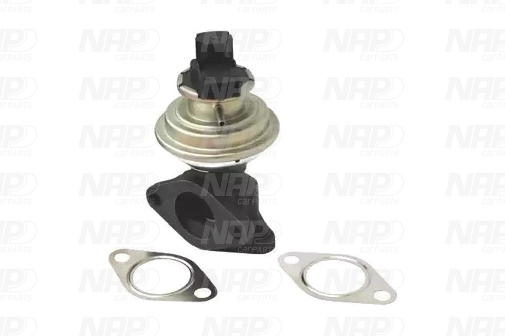 EGR Valve (CAV10011)
