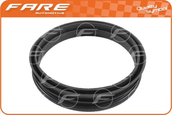 Seal, fuel filler neck (19919)