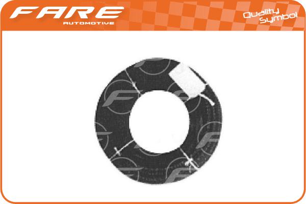 Fuel Hose (33481)