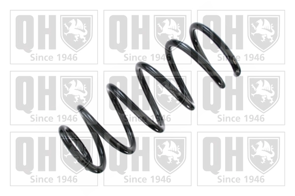 Suspension Spring (QCS8578)
