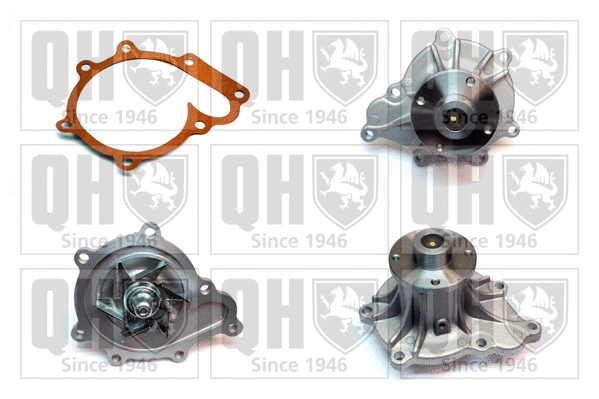 Water Pump, engine cooling (QCP3497)