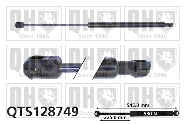 Gas Spring, boot/cargo area (QTS128749)