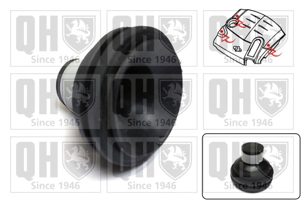 Engine Cover (EM4839)