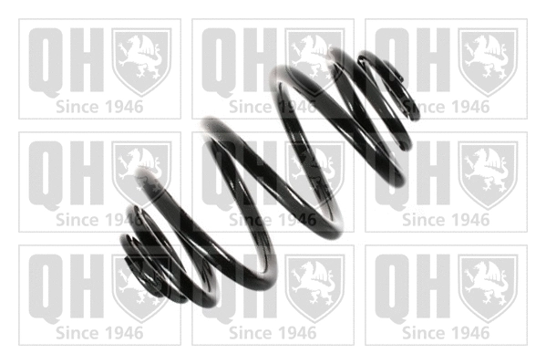 Suspension Spring (QCS7142)