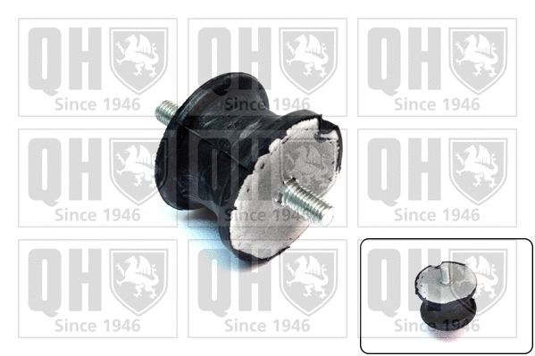 Mounting, engine (EM2574)