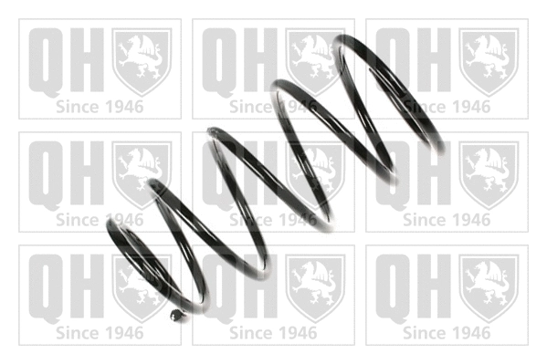 Suspension Spring (QCS5482)