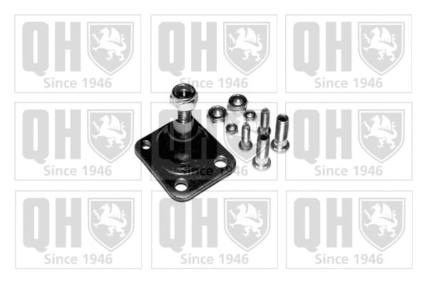 Ball Joint (QSJ976S)