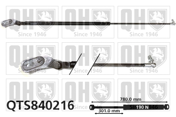 Gas Spring, boot/cargo area (QTS840216)