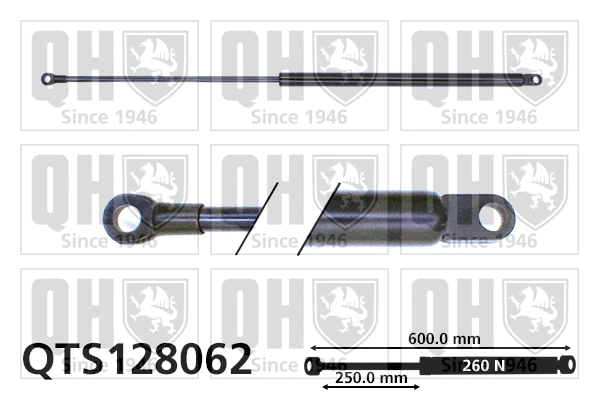 Gas Spring, boot/cargo area (QTS128062)