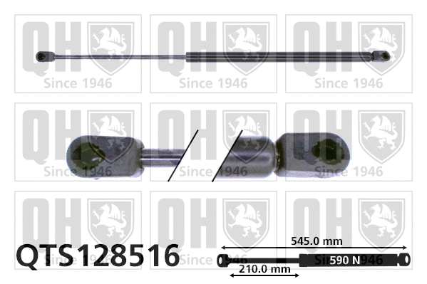 Gas Spring, boot/cargo area (QTS128516)