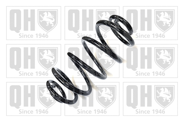 Suspension Spring (QCS5973)