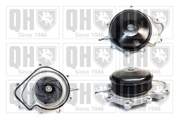 Water Pump, engine cooling (QCP3799DP)