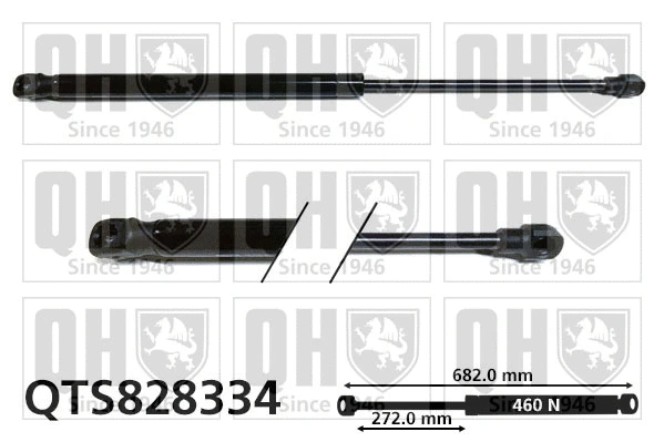 Gas Spring, boot/cargo area (QTS828334)