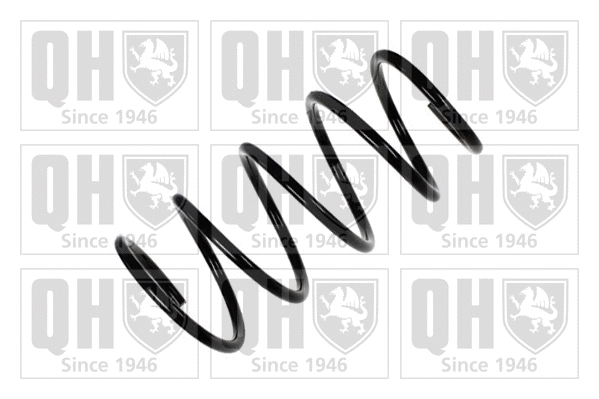 Suspension Spring (QCS8164)