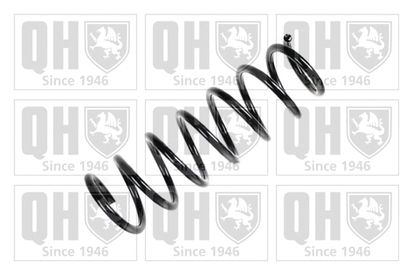 Suspension Spring (QCS7672)