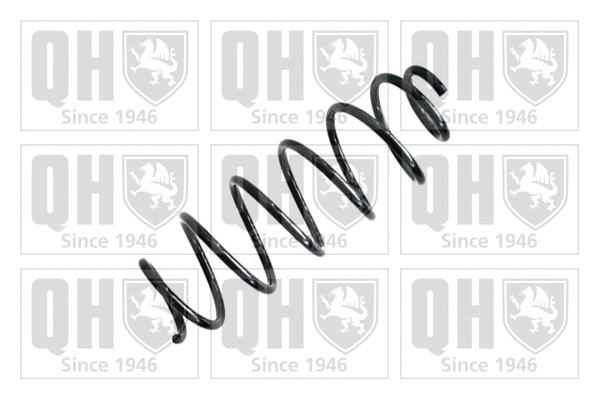 Suspension Spring (QCS7761)