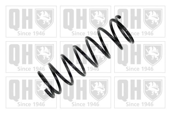 Suspension Spring (QCS7943)