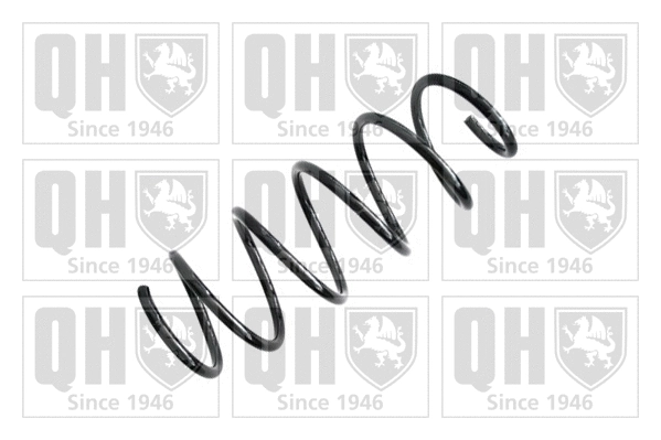 Suspension Spring (QCS6375)