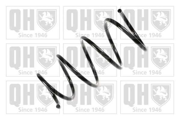 Suspension Spring (QCS7087)
