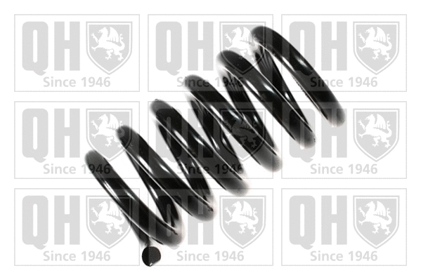 Suspension Spring (QCS5581)