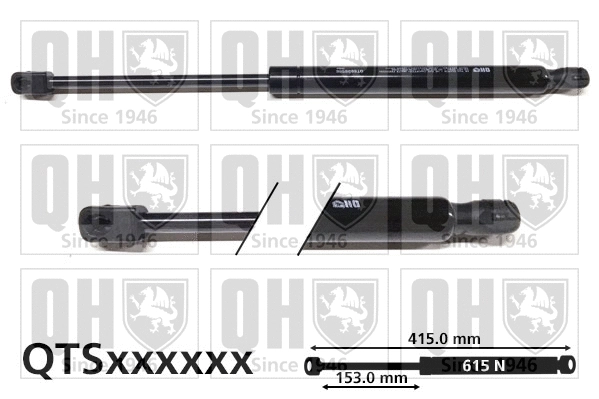 Gas Spring, boot/cargo area (QTS828556)