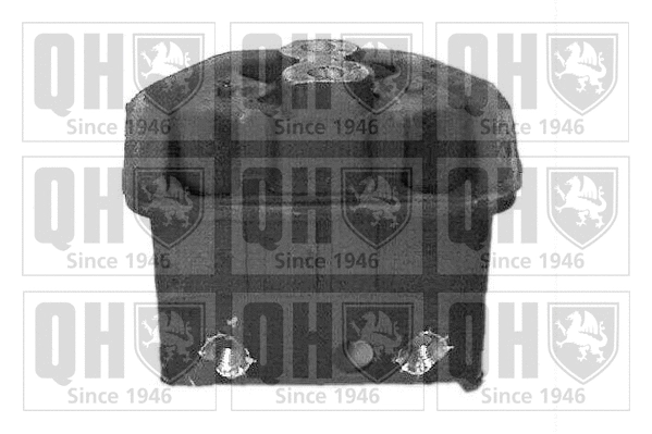 Mounting, engine (EM2462)