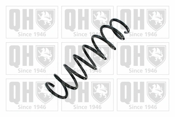Suspension Spring (QCS9036)