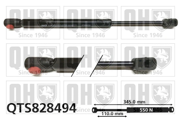 Gas Spring, bonnet (QTS828494)