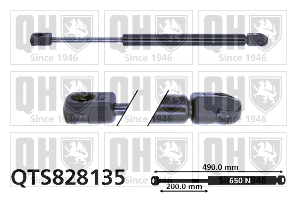 Gas Spring, boot/cargo area (QTS828135)