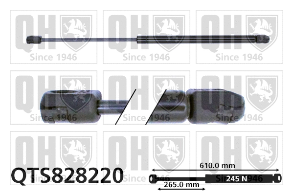 Gas Spring, boot/cargo area (QTS828220)