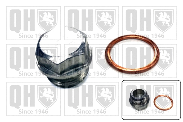 Screw Plug, oil sump (QOC1026)