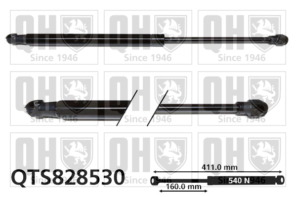 Gas Spring, boot/cargo area (QTS828530)