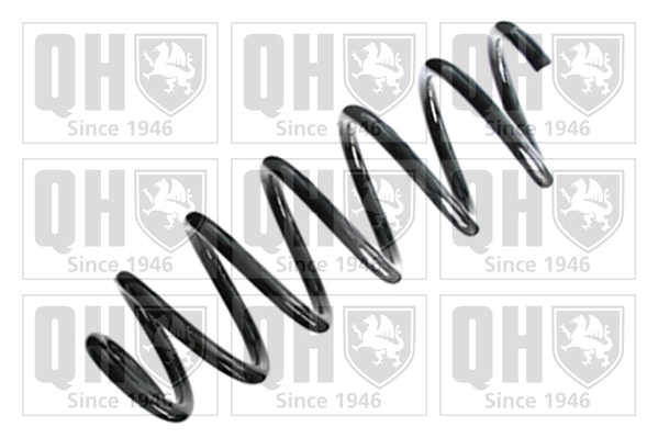 Suspension Spring (QCS8385)