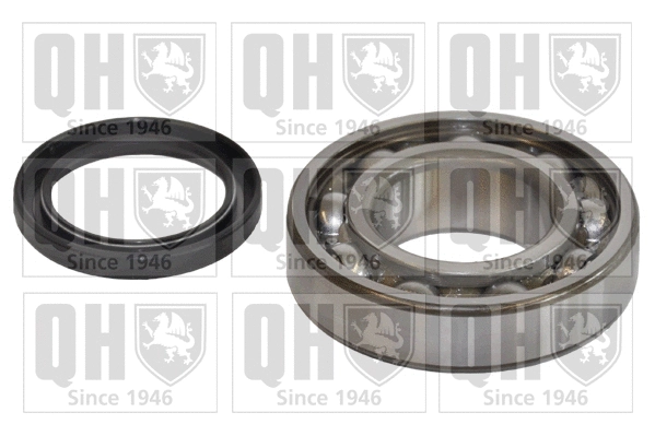 Wheel Bearing Kit (QWB1171)