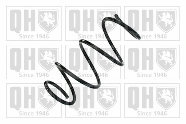 Suspension Spring (QCS9150)