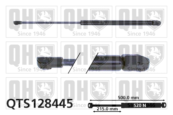 Gas Spring, boot/cargo area (QTS128445)
