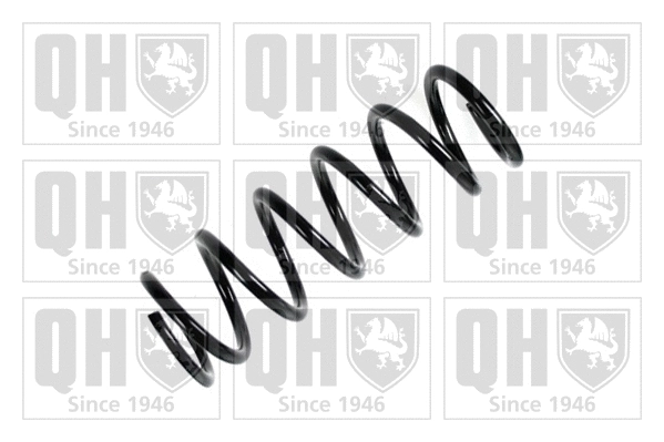 Suspension Spring (QCS5891)
